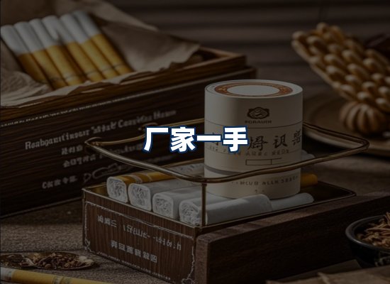 专业团队办公环境